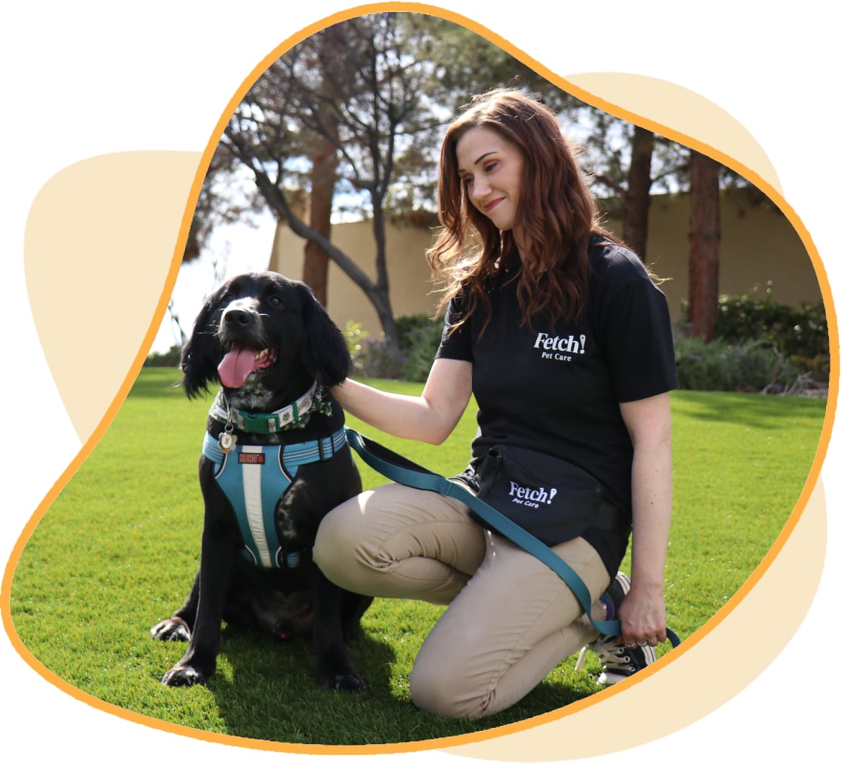 Pet Sitter in Vail, AZ